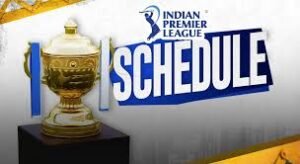 India24bet Whatsapp Number